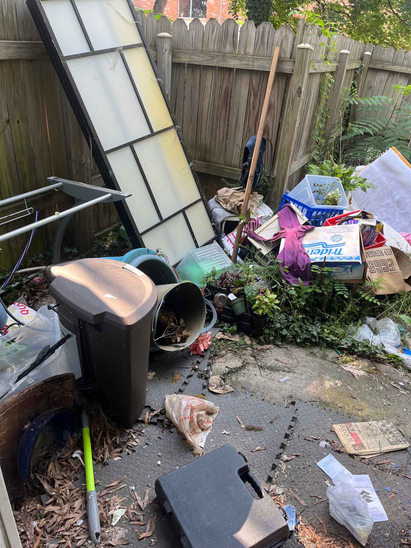 Piles of junk in backyard