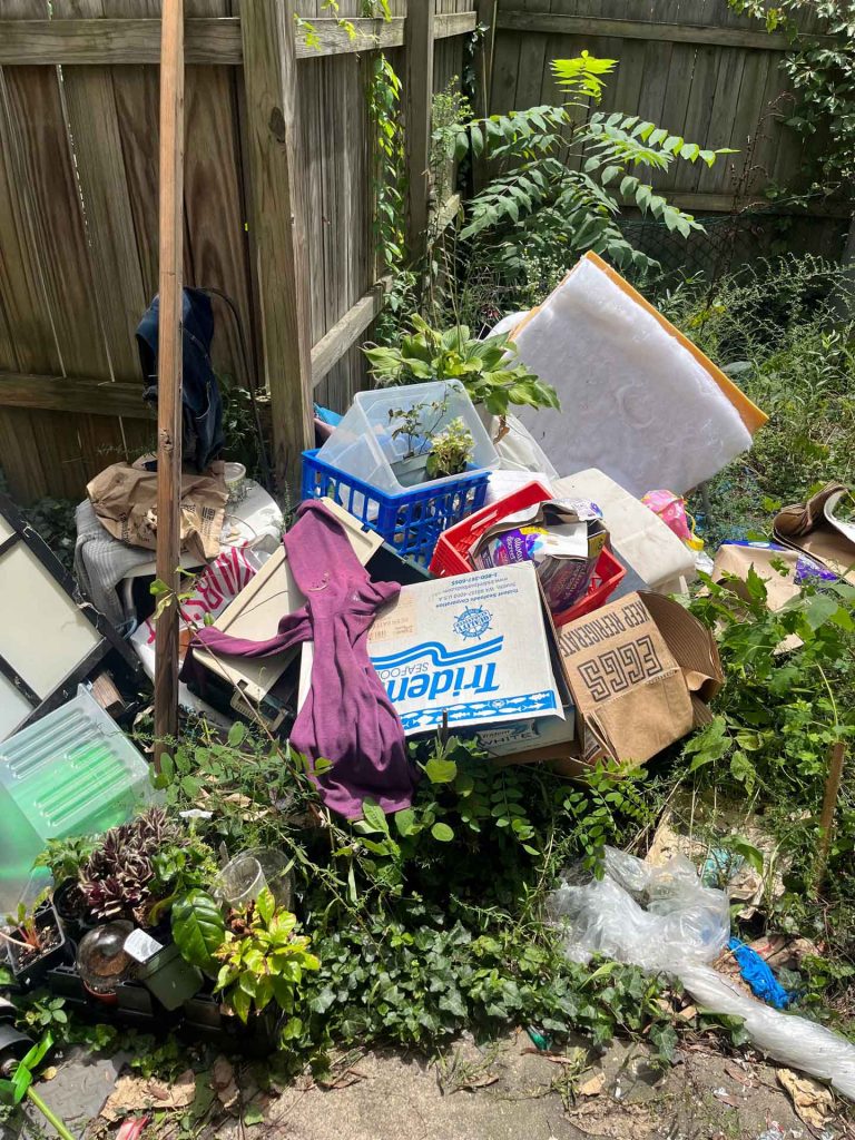 Piles of junk in backyard
